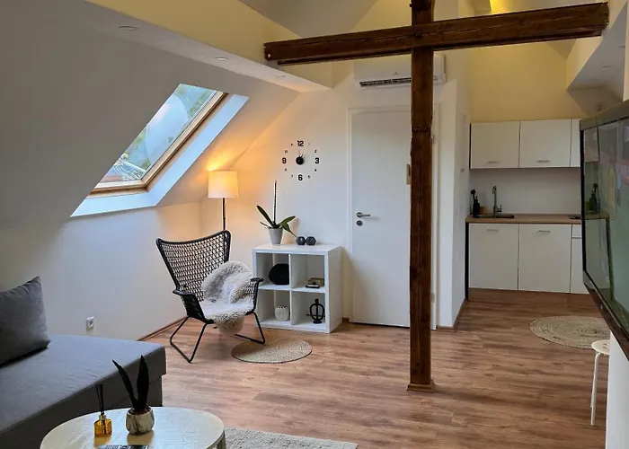 Appartement Exquisites Loft Mit Schloss Blick Fuer 5 Personen