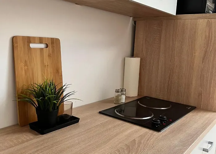 شقة Exquisites Loft Mit Schloss Blick Fuer 5 Personen هاغين